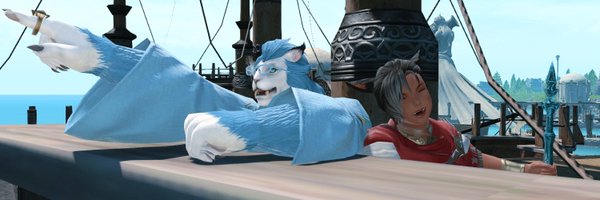 HouseCattXIV Profile Banner