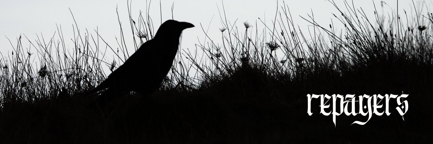 repagers banner