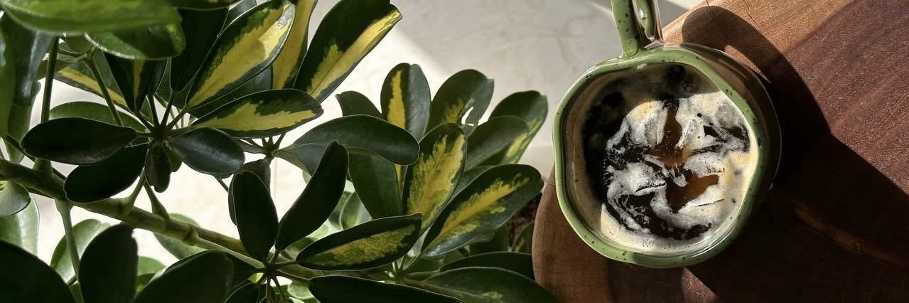 palomavpinat's profile banner image