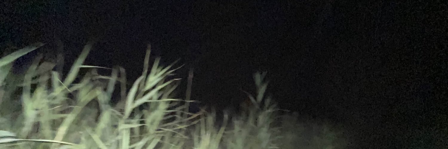 mwaaakaaa's profile banner image