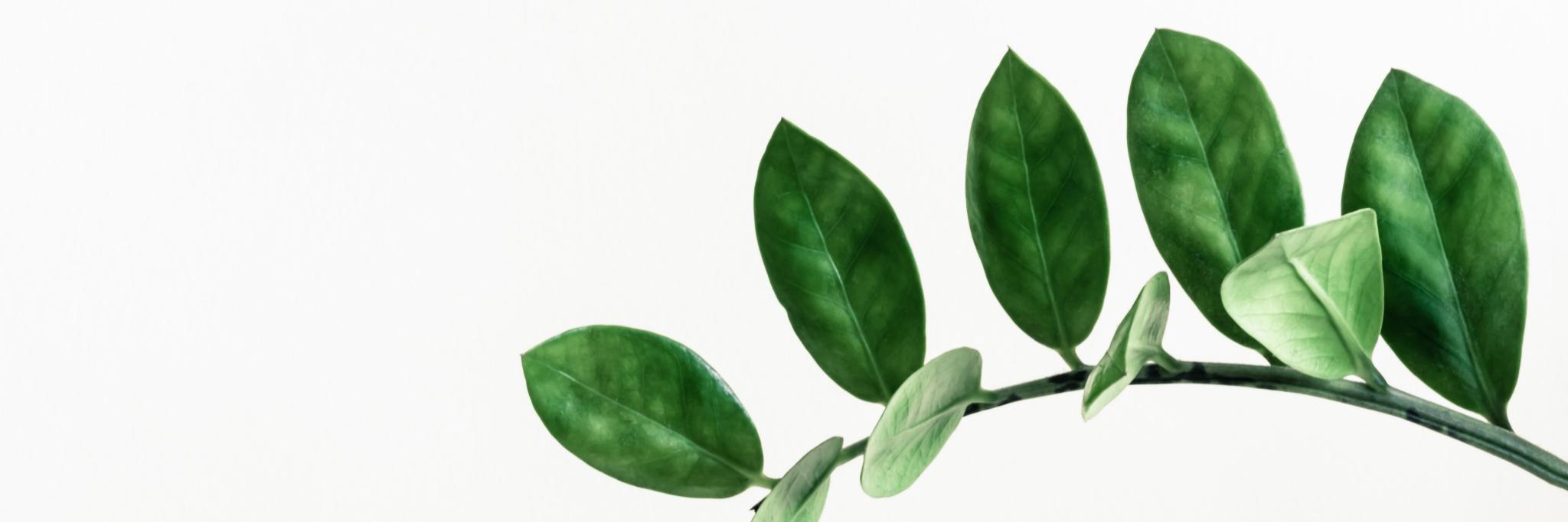 ruesilver's profile banner image