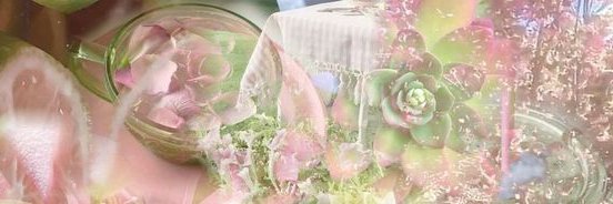 uminelouve's profile banner image