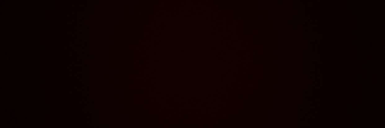 Mermoz wenceslas banner