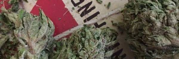 97_HighLife's profile banner image