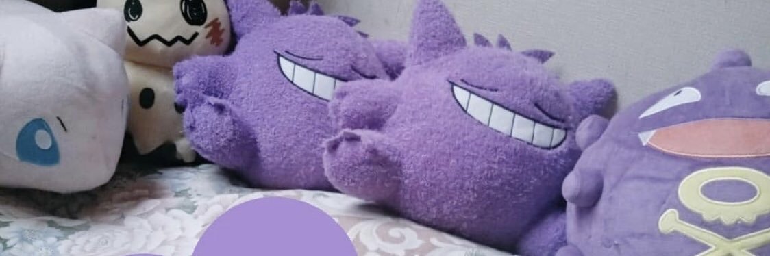bibi__xll's profile banner image
