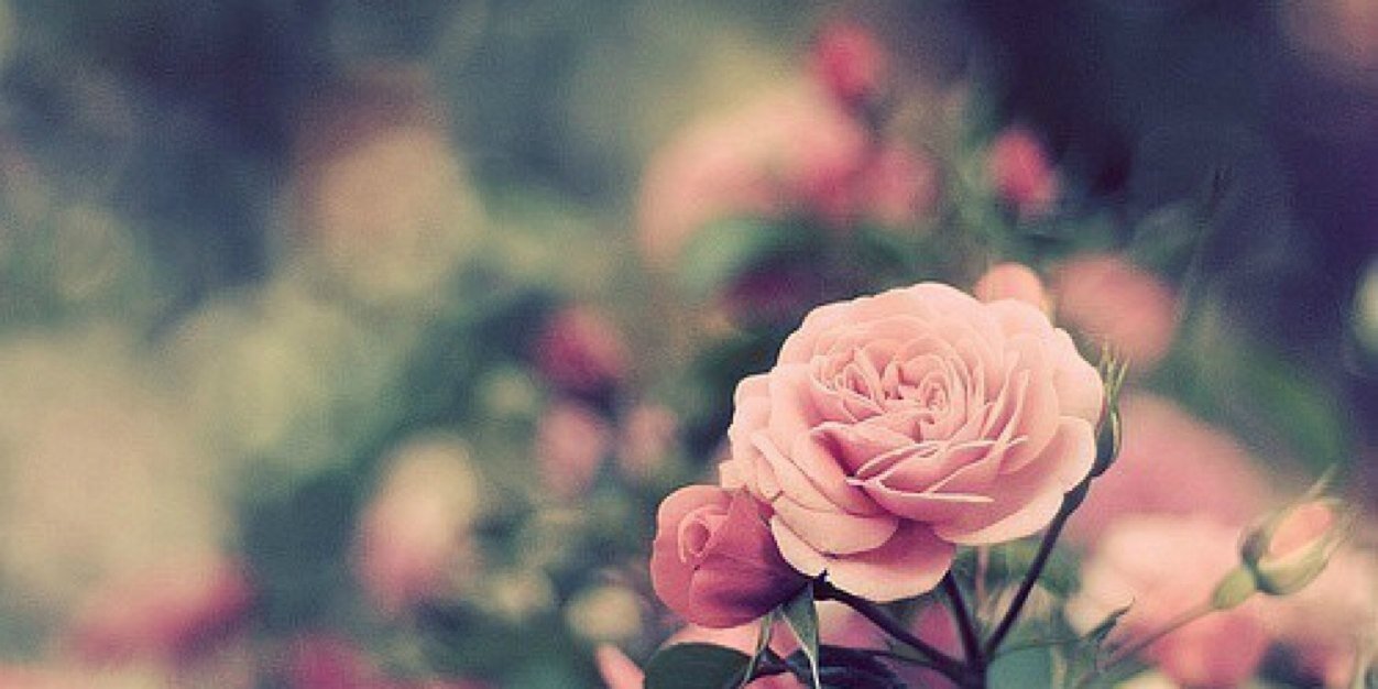 Maria_EPA's profile banner image