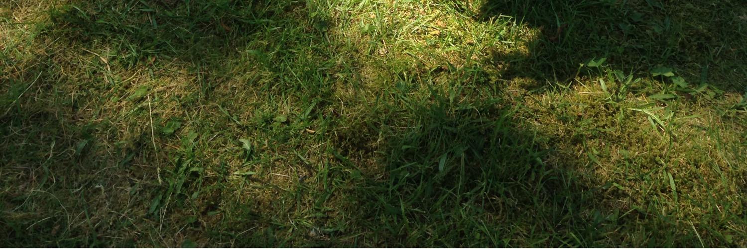 lillaemma97's profile banner image