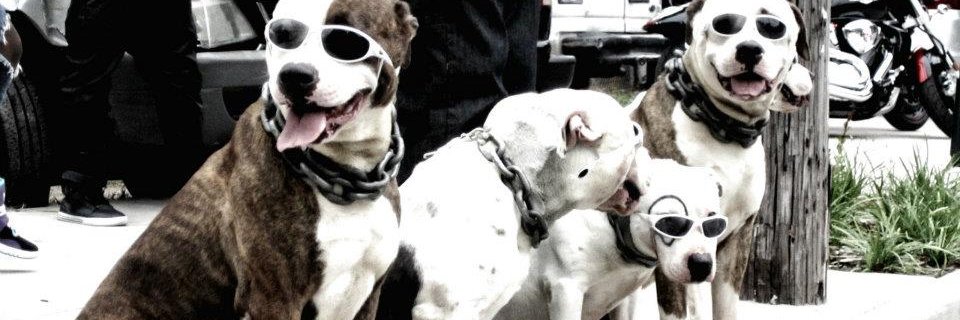 theletterQue's profile banner image