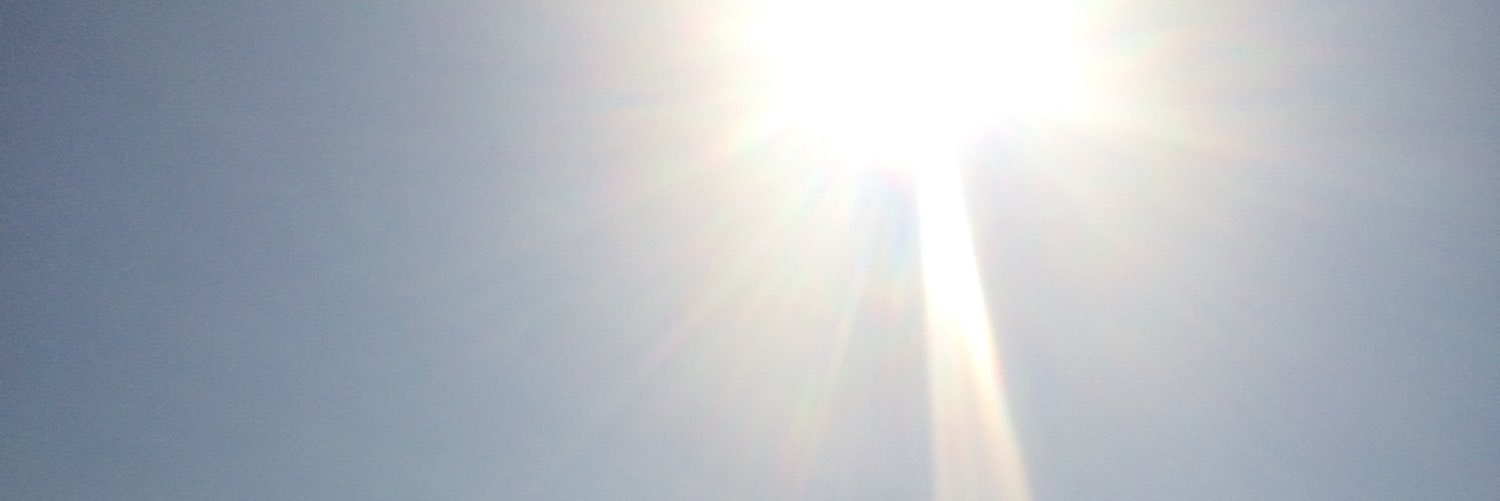 Ciara Donovan banner