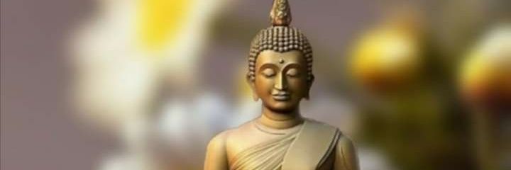 vellangan's profile banner image