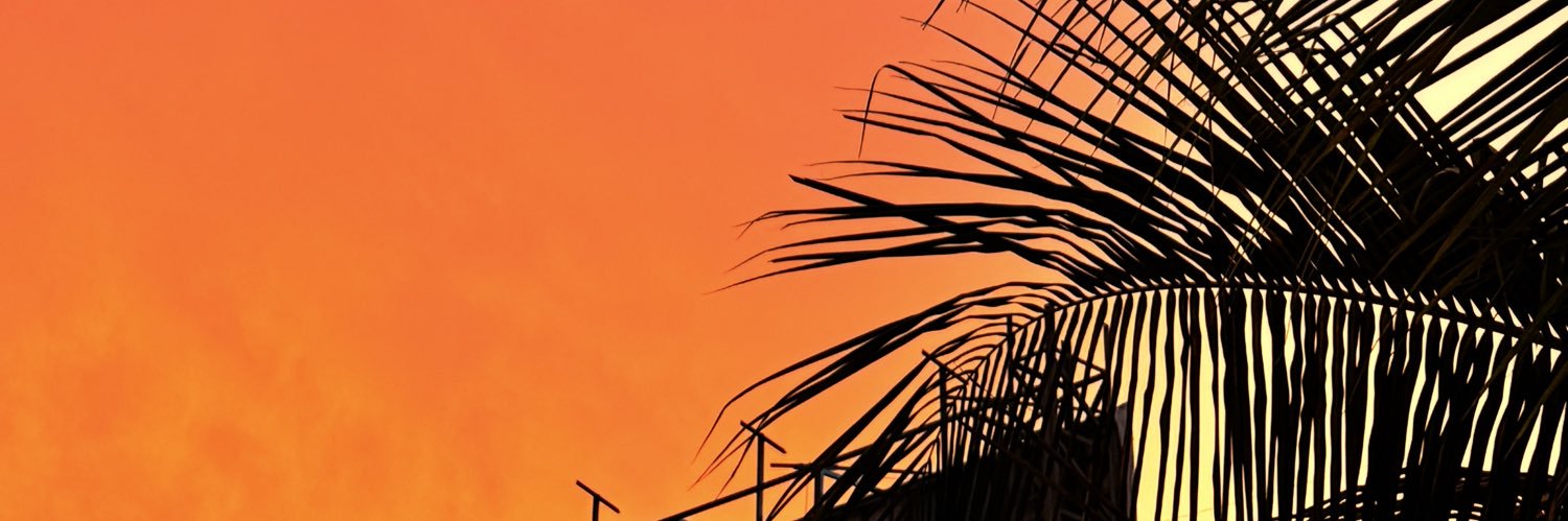 Mrunmaii16's profile banner image