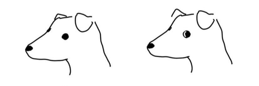 leeclaires's profile banner image