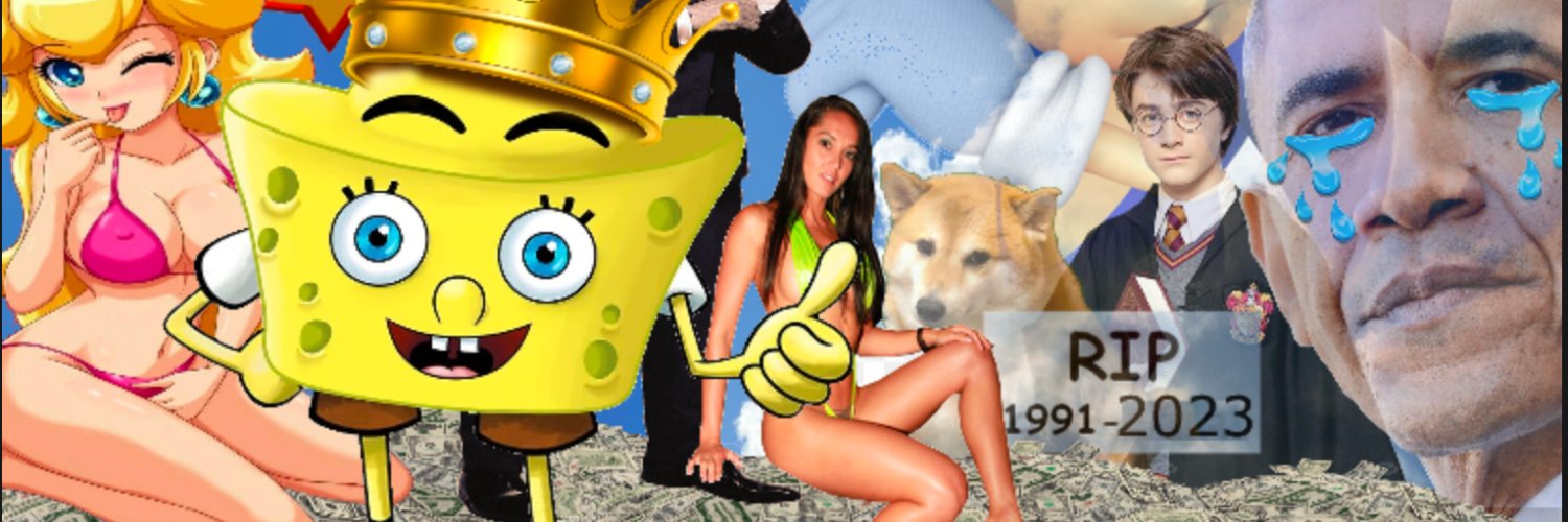 ToolyDoge's profile banner image