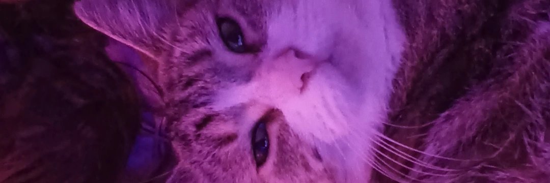 ex0jv__'s profile banner image