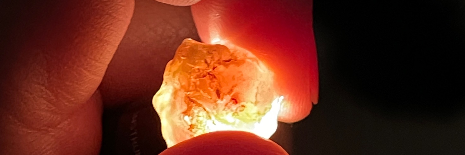 Tehmina Goskar banner