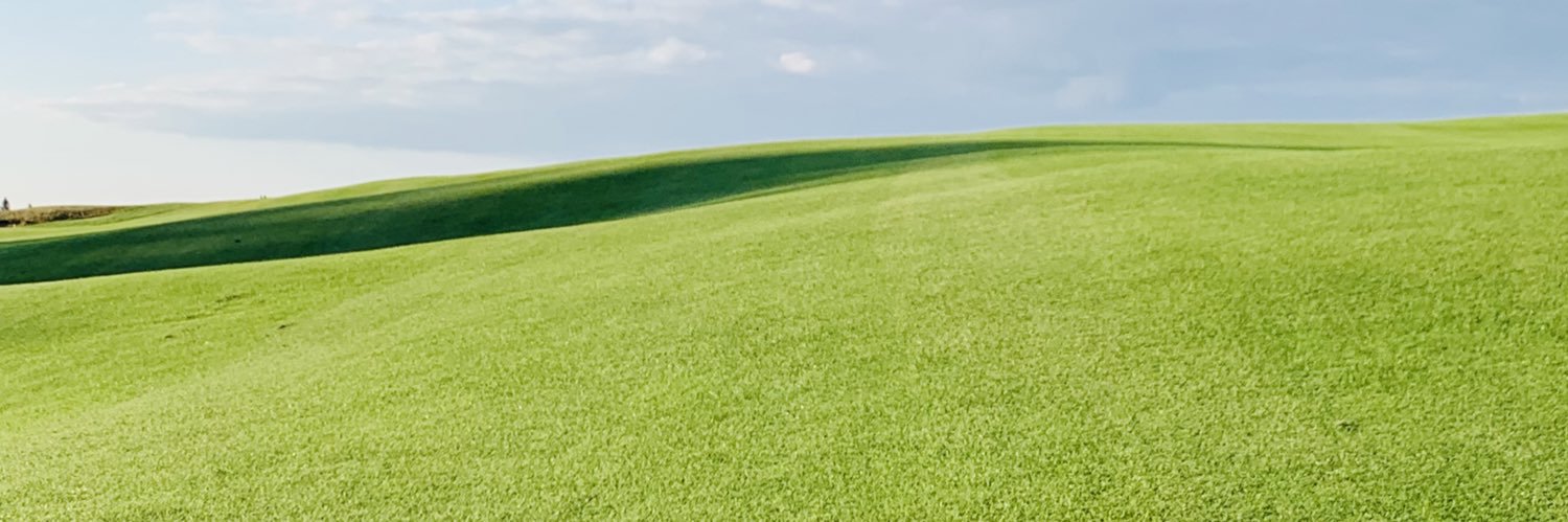 PPiipponen's profile banner image