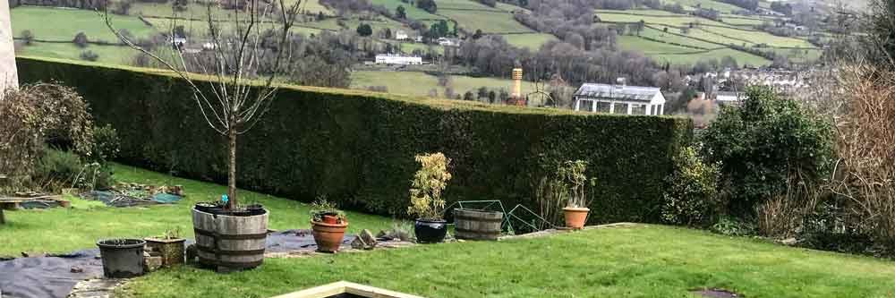 Berenice Romano 🇮🇱✡️ banner