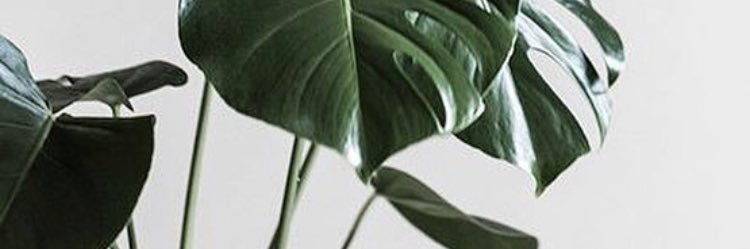 r_cham2r's profile banner image