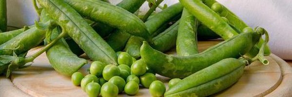 Dense8824 Profile Banner
