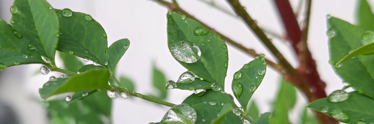 atekitotekito's profile banner image