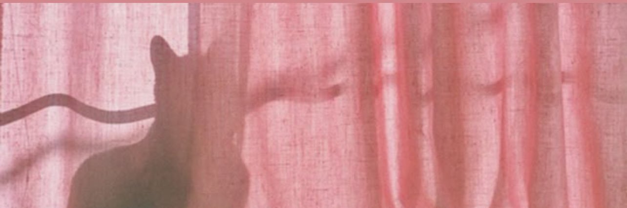 cнɛʀʀʏ🍒 banner