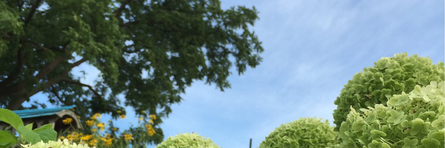 bobhoffman123's profile banner image