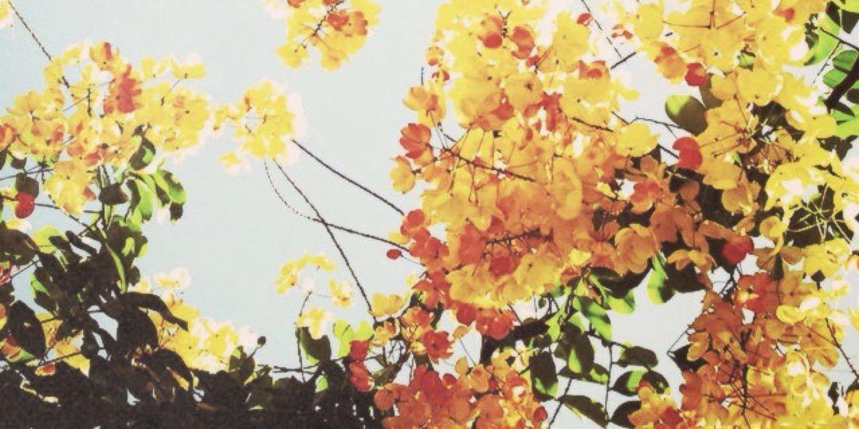 abigail_chr's profile banner image