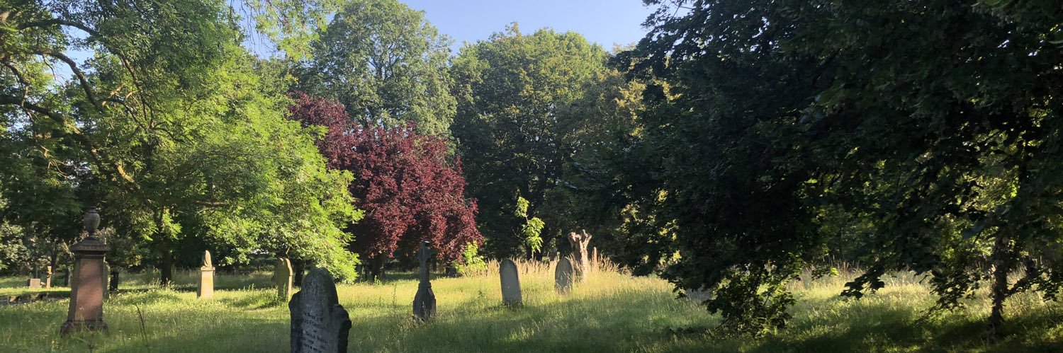MargravineCem's profile banner image