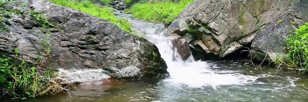 Dzarop Profile Banner