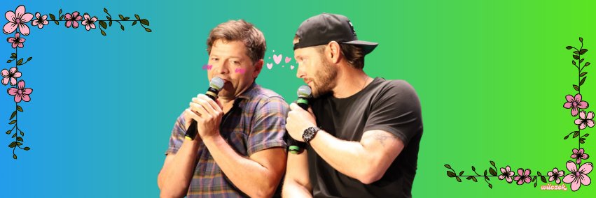 vickyzz97's profile banner image