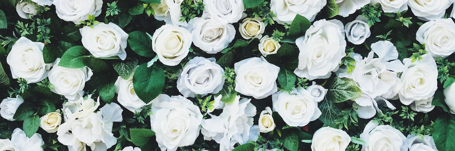 OfWhxteRoses's profile banner image