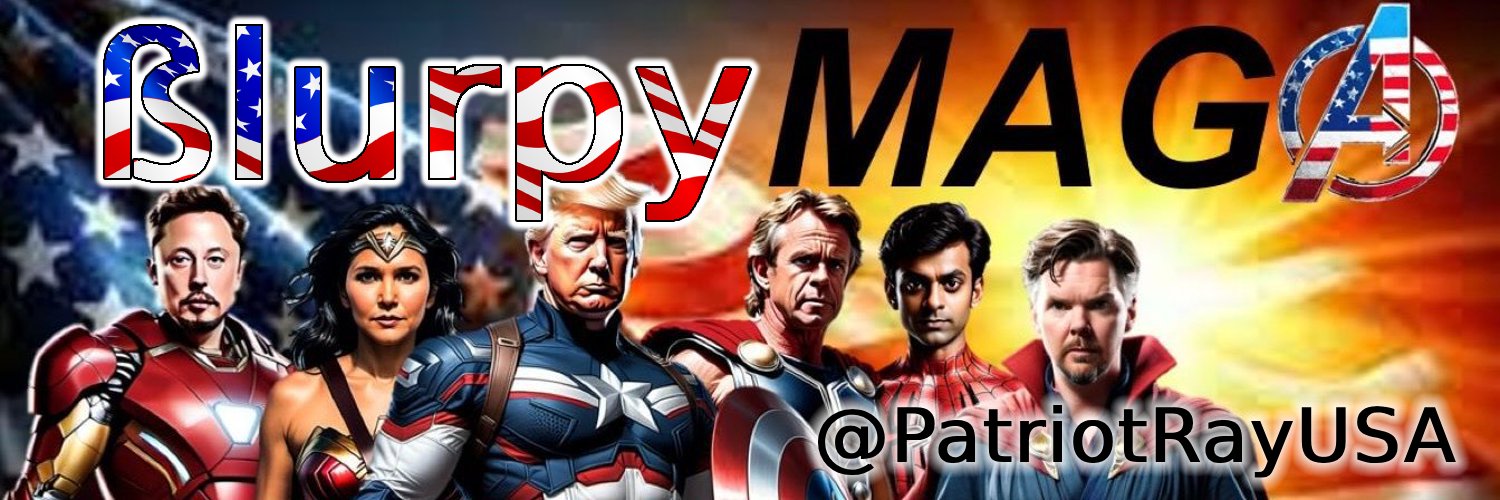PatriotRayUSA's banner