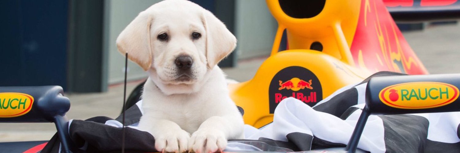 JustDiegui's profile banner image