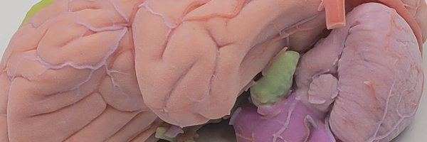 Behold3d Profile Banner