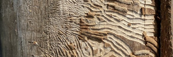 RMorrowPath Profile Banner