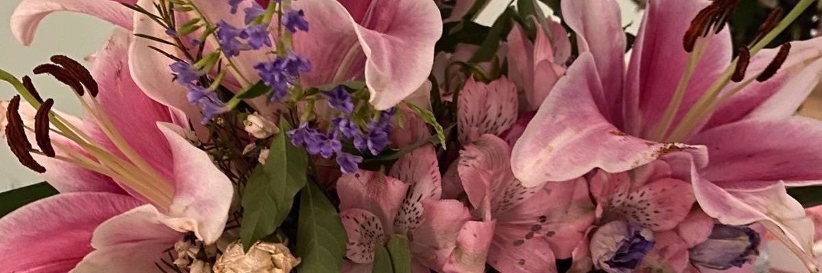🍵 banner