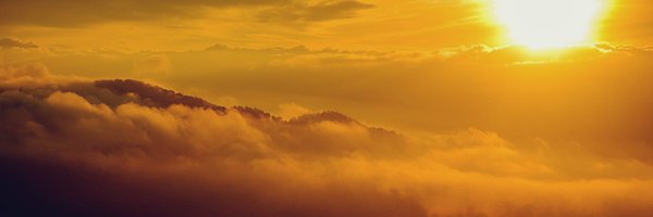 Earvin Aleese banner