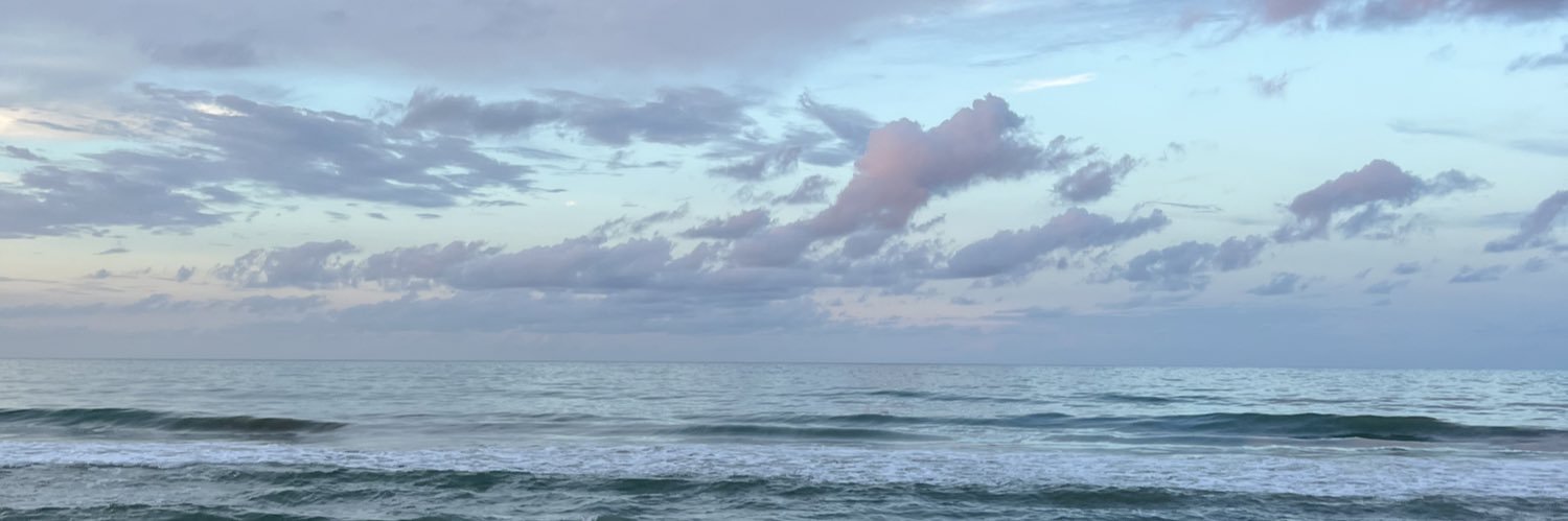 Kim Miller banner