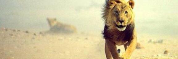 abomwaff's profile banner image