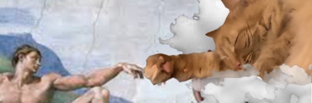 Traci1066's profile banner image