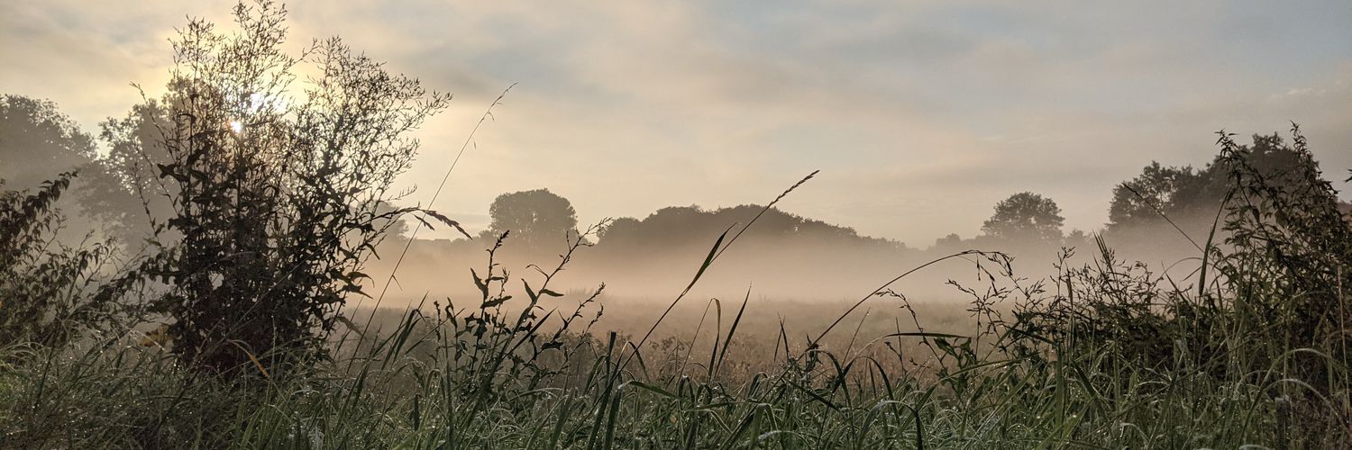 juffratoertjes's profile banner image