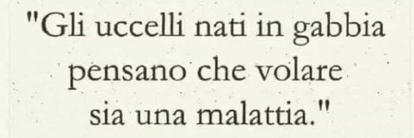 Golds2587 Profile Banner