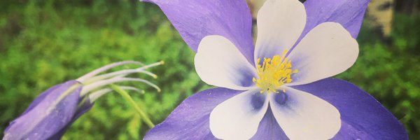 marknewt Profile Banner