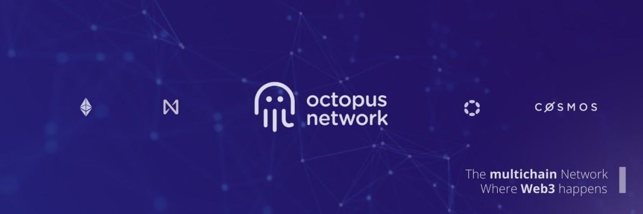 Octopus Nation banner