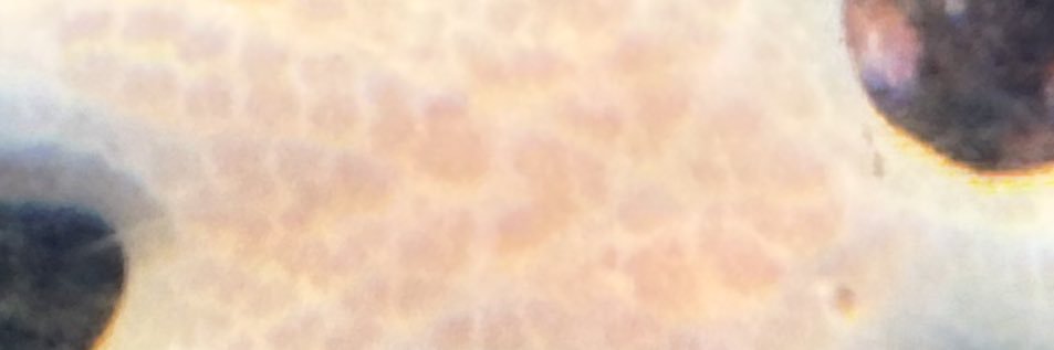 yubi_t_v's profile banner image