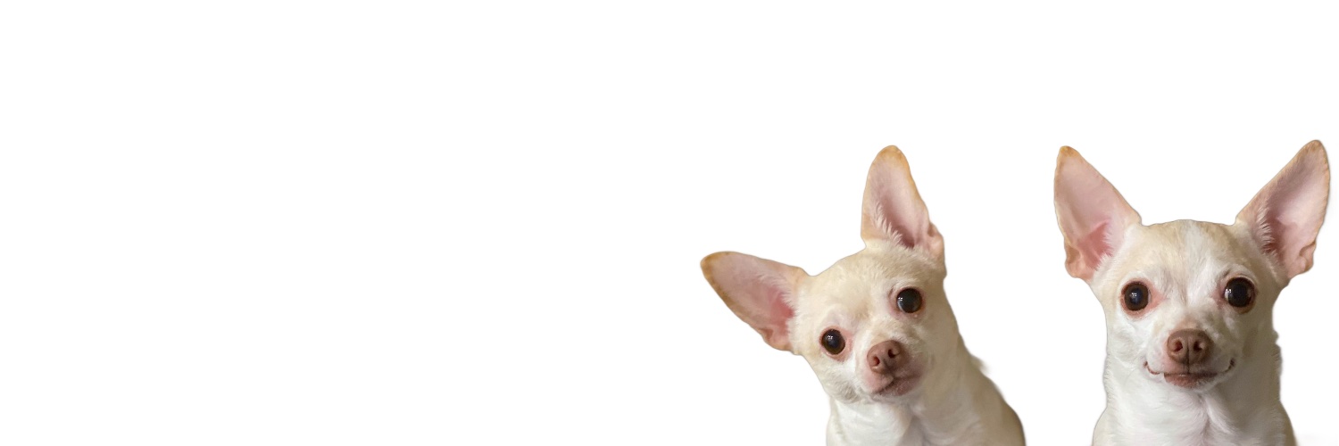 Peanut banner