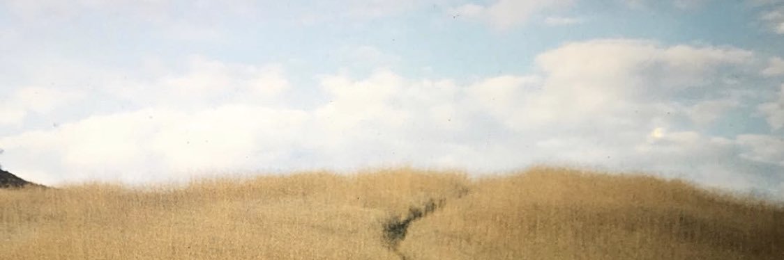 T's banner