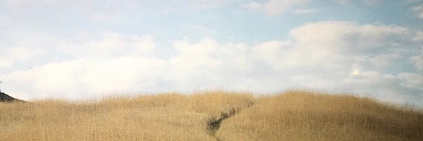 tylerthecreator Profile Banner