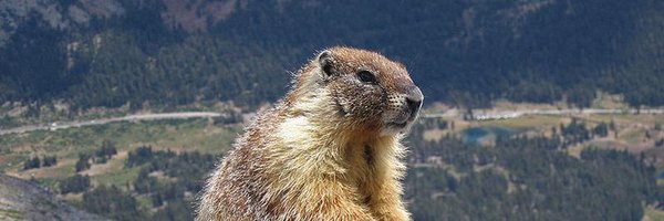 jerslater Profile Banner