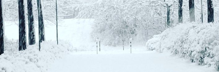 phillyboyyy81's profile banner image